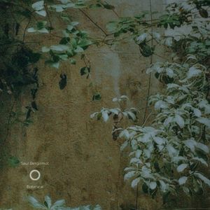 国产网友酒店偷情Av
