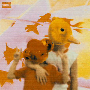 国产网友酒店偷情Av
