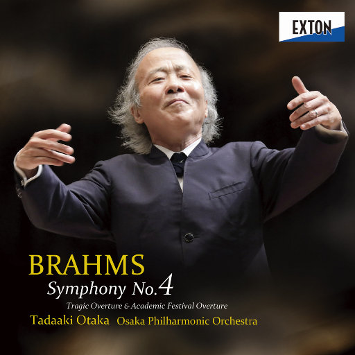 国产网友酒店偷情Av
